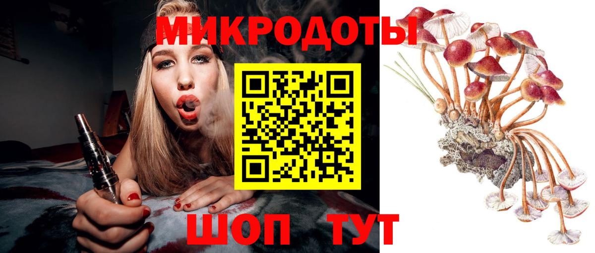 Галлюциногенные грибы Psilocybe  Вход с VPN  Борисоглебск  закладки  Галлюциногенные грибы прущие грибы 
